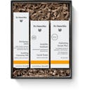 Dr. Hauschka Geschenkset 