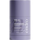 endro cosmétiques Deodorant Stick Pro Age