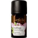 farfalla 