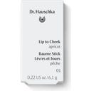 Dr. Hauschka Lip to Cheek - 01 Apricot