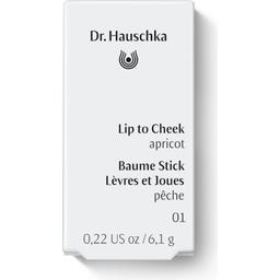 Dr. Hauschka Lip to Cheek - 01 Apricot