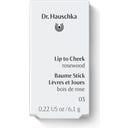 Dr. Hauschka Lip to Cheek - 03 Rosewood