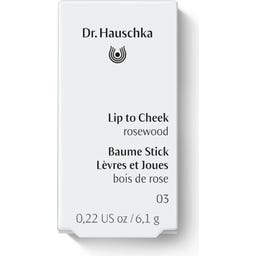 Dr. Hauschka Lip to Cheek - 03 Rosewood
