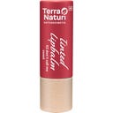 Tinted Lipbalm, 02 - don't call me sweet (4,50 g)