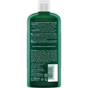 LOGONA Feuchtigkeit & Glanz Shampoo - 250 ml