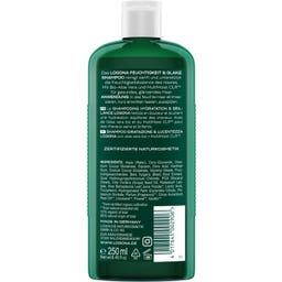LOGONA Feuchtigkeit & Glanz Shampoo - 250 ml