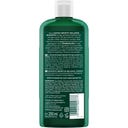 LOGONA Sensitive Balance Shampoo - 250 ml
