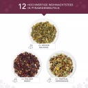 English Tea Shop Caja de Regalo Bio - Wellness Holiday - 12 bolsitas
