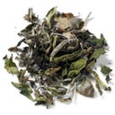 DEMMERS TEEHAUS BIO Fancy White Peony