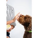 Biofficina Toscana Paw & Nose Balm - 50 ml