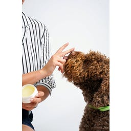 Biofficina Toscana Paw & Nose Balm - 50 ml