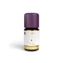 TAOASIS Duftmischung Lichterglanz - 5 ml