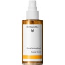 Tonico Viso, 100 ml
