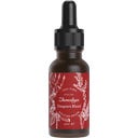 Zhenobya Sangue de Dragão - 20 ml