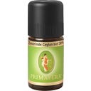 PRIMAVERA Bio škoricová kôra Ceylon 30% - 5 ml