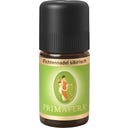 Fichtennadeln sibirisch, 5 ml