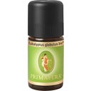 Eucalyptus Globulus Bio, 5 ml