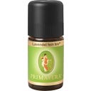 Biologische Fijne Lavendel, 5 ml