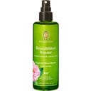 Rosenblüten Wasser, 100 ml