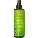 PRIMAVERA Acqua di Lavanda - 100 ml