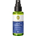PRIMAVERA Ganz entspannt Raumspray bio - 50 ml