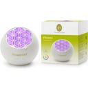 PRIMAVERA Aroma Ventilator Flower - 1 Stk