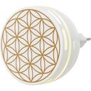 Easy - Aroma Fragrance Plug 