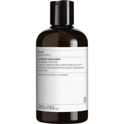 Evolve Organic Beauty Superfood Shine Shampoo - 250 ml