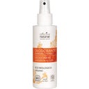 Garden In Bloom Deodorant, 100 ml Spray 