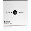 Lily Lolo Mineral Concealer