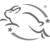 Leaping Bunny