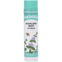 Lip Balm Stick, Highland Mint (4.2)