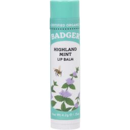 Lip Balm Stick - Highland Mint