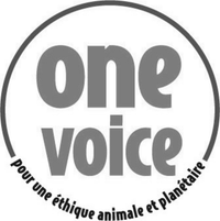 One Voice