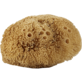 Avril Natural Body Sponge
