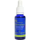 Baume de l'Himalaya - Fluido de las 5 Estaciones - 30 ml