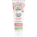 Shampoo with Almond & Donkey's Milk, 250 ml