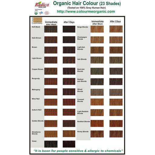 Radico Light Ash Blonde Plant Hair Colour