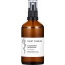 SAINT CHARLES Raumspray Mind Balance - 100 ml