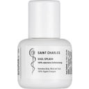 Saint Charles SOUL SPLASH Fragrance Blend - 15 ml