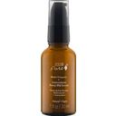 Multi-Vitamin + Antioxidants Potent PM Serum, 30 ml