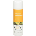 Tasapainottava shampoo, 200 ml