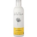 Phitofilos Sinergia Nährendes Shampoo - 250 ml