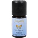 farfalla Bio eukalyptus úzkolistý - 5 ml