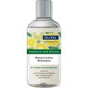 Natural Rosemary & Lemon Shampoo, 250 ml