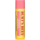 Refreshing Lip Balm Stick Pink Grapefruit, 4,25 g