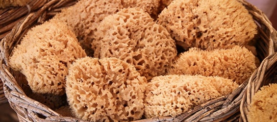 Esponjas marinas para un cuidado natural de la piel