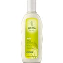 Weleda Hirse Pflege-Shampoo - 190 ml