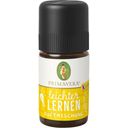Primavera KIDS Study Fragrance Blend - 5 ml
