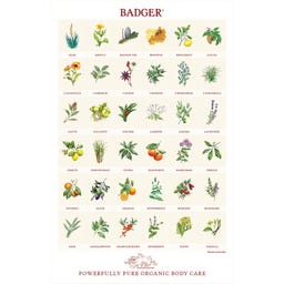 Badger Balm Botanical Glossary Poster